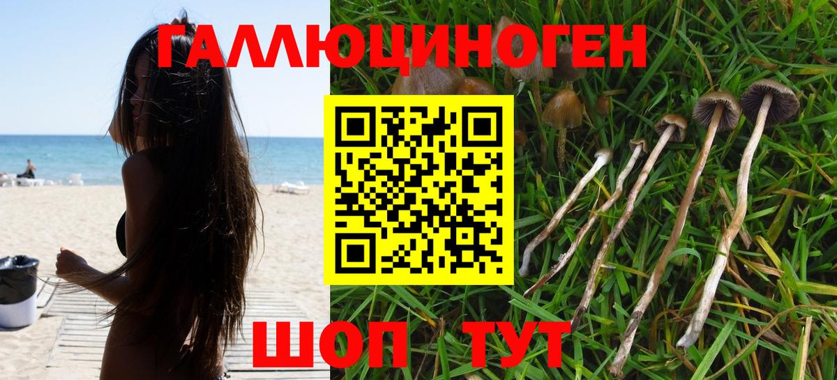 Псилоцибиновые грибы мухоморы  Псилоцибиновые грибы Cubensis  Вход с VPN  дарнет шоп  Холмск 